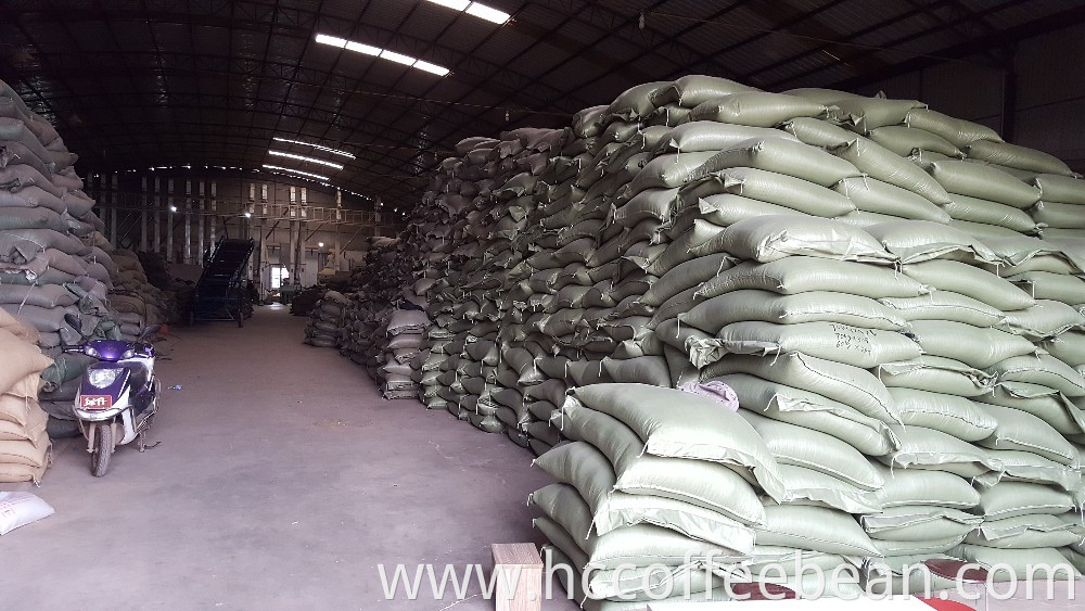 Chinese raw green coffee beans,100% arabica type, Chinese coffee factory